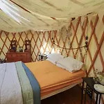 Yewberrie Yurt Holiday home