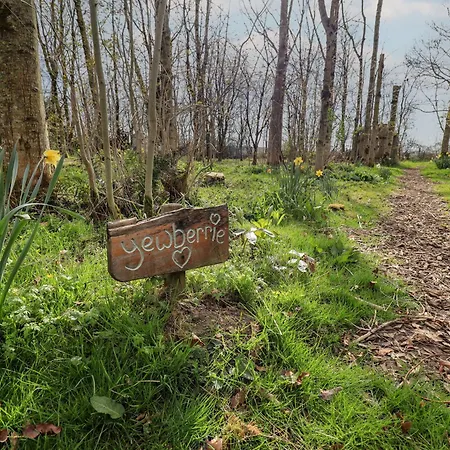 Yewberrie Yurt Holiday home *