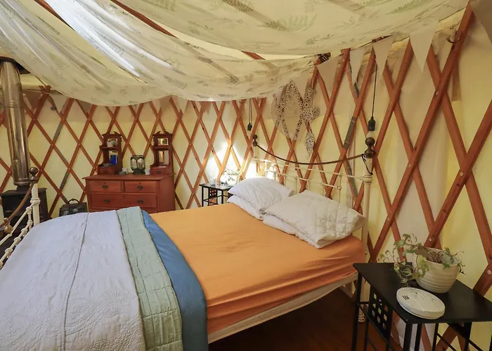 Yewberrie Yurt Vakantiehuis